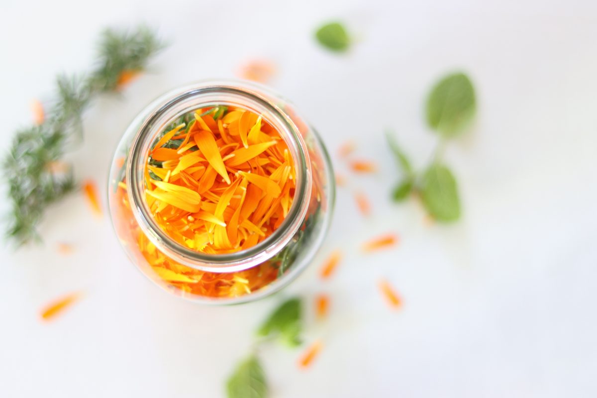 カレンデュラの花びら
